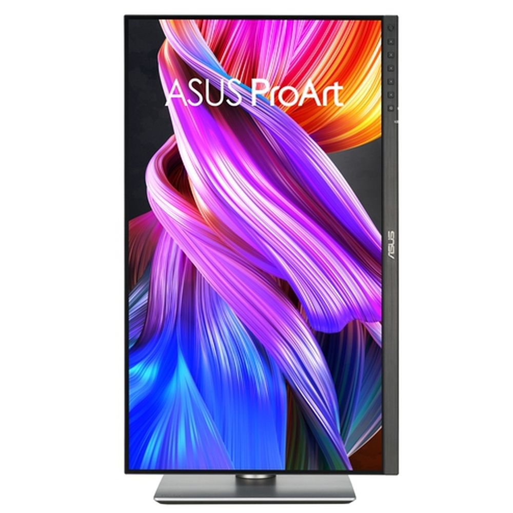 Asus ProArt PA24ACRV Monitor da 24 pollici