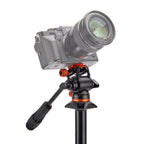 3 Legged Thing Airhed Trinity, black/orange