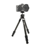 Caruba Travelstar 70C Carbon Trépied