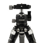 Caruba Travelstar 70C Carbon Trépied