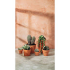 V-Flat French Clay/Terracotta Blush - XL