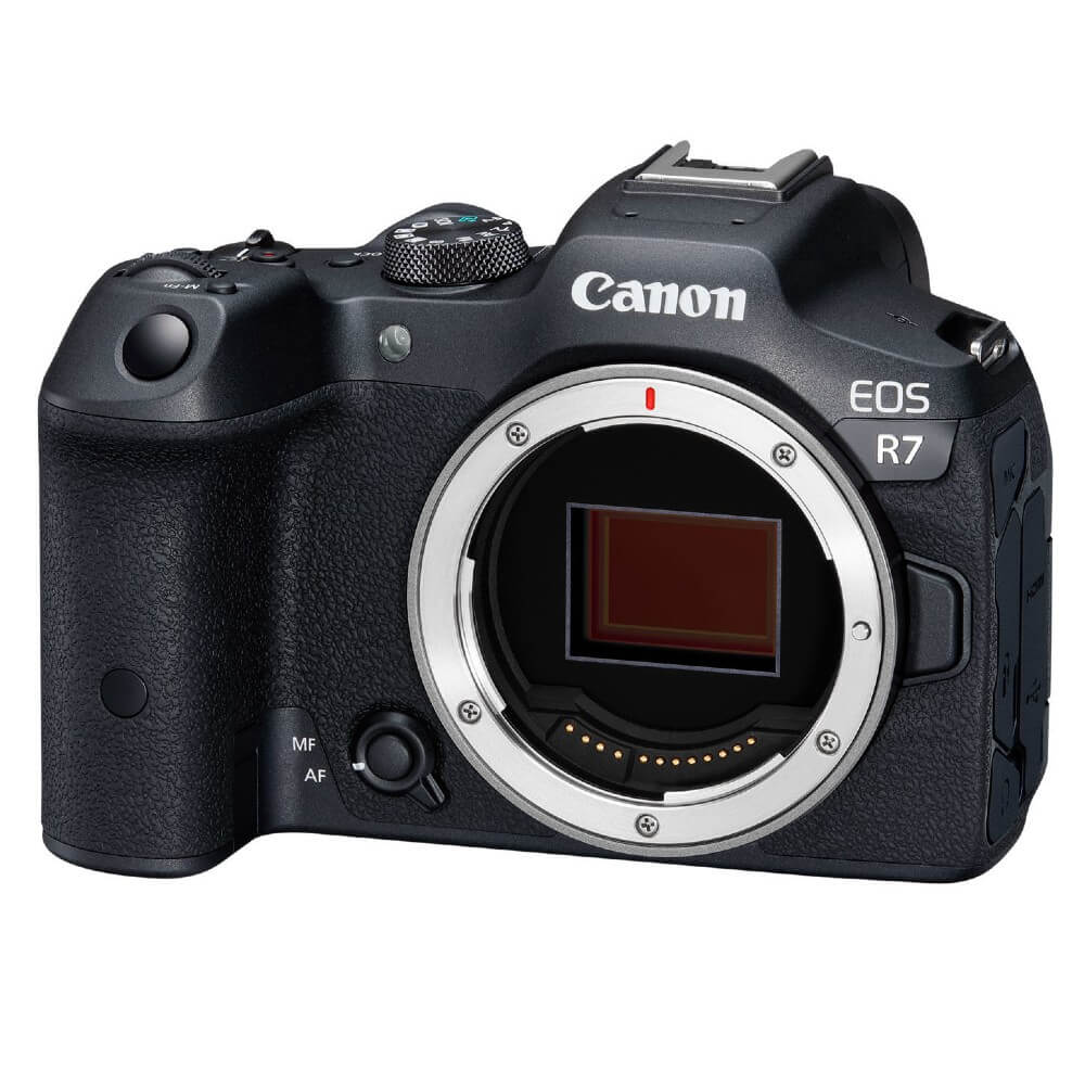 Canon EOS R7 + RF 200-800mm f/6.3-9 IS USM