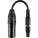 Hollyland HL-CB02: Cable adaptador de LEMO de 8 pines a XLR de 4 pines