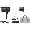 Godox Litemons LA600BI Luz de vídeo LED bicolor con bolsa de transporte (negra)