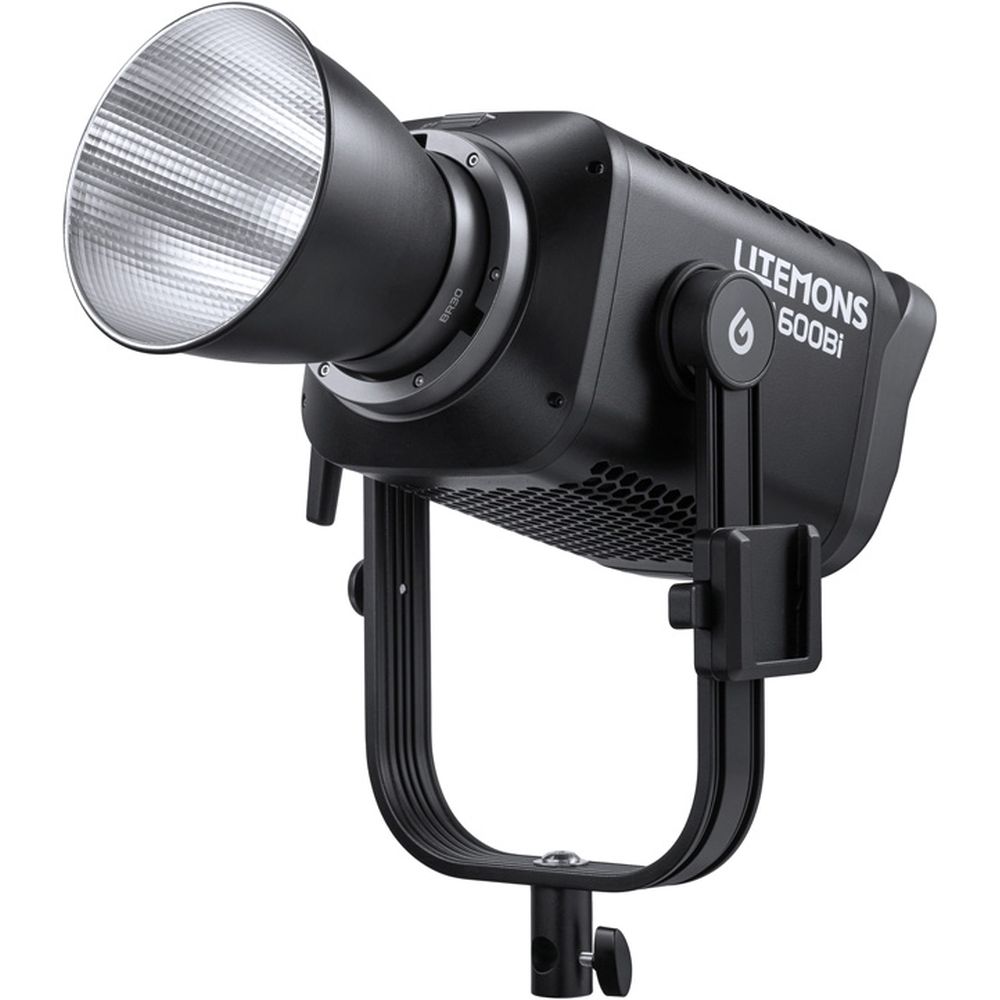 Godox Litemons LA600BI Luz de vídeo LED bicolor con bolsa de transporte (negra)