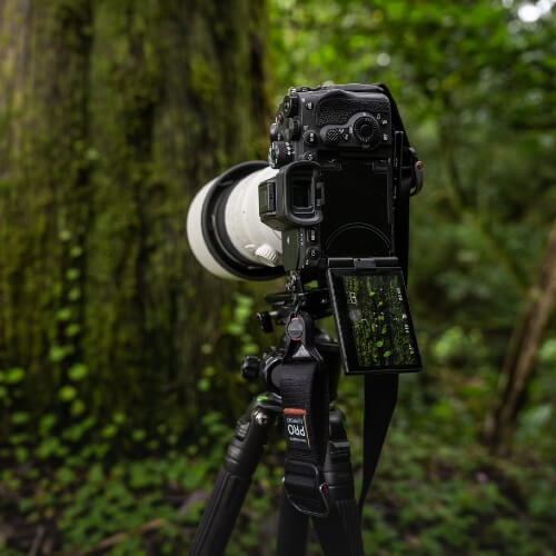 Sony A7R V Body