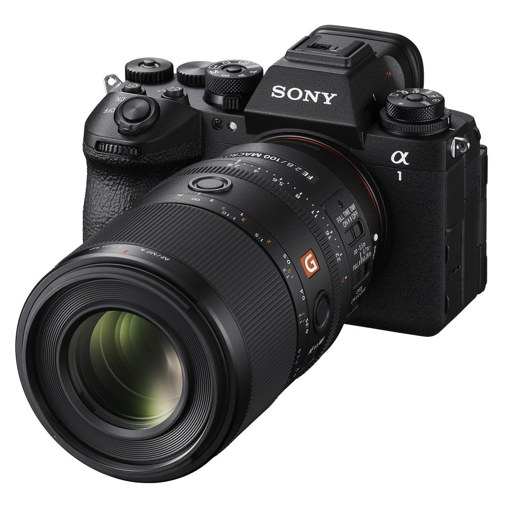 Sony FE 100mm f/2.8 Macro GM OSS