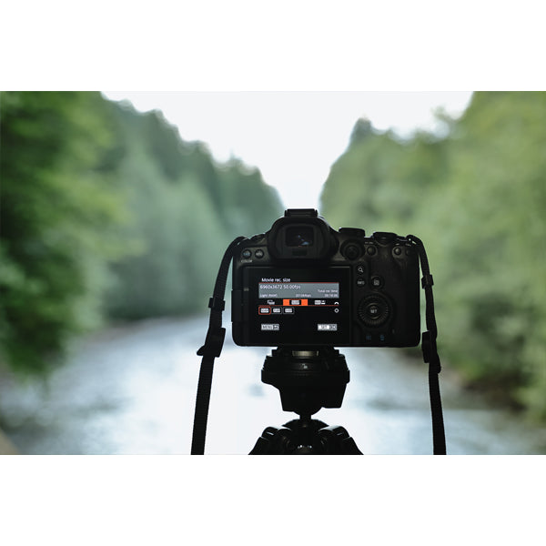 Canon EOS R6 mark III + RF 24-105mm f/4L IS USM