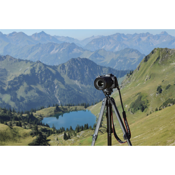 Canon EOS R6 mark III + RF 24-105mm f/4L IS USM