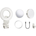 Godox LR Litemons Kit Anillo de luz LED bicolor para selfies (LR15Bi + LR30Bi)