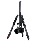 Rollei C6i Carbon Tripod V2 - Black
