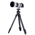Rollei Lion Rock Pro Instinct Treppiede