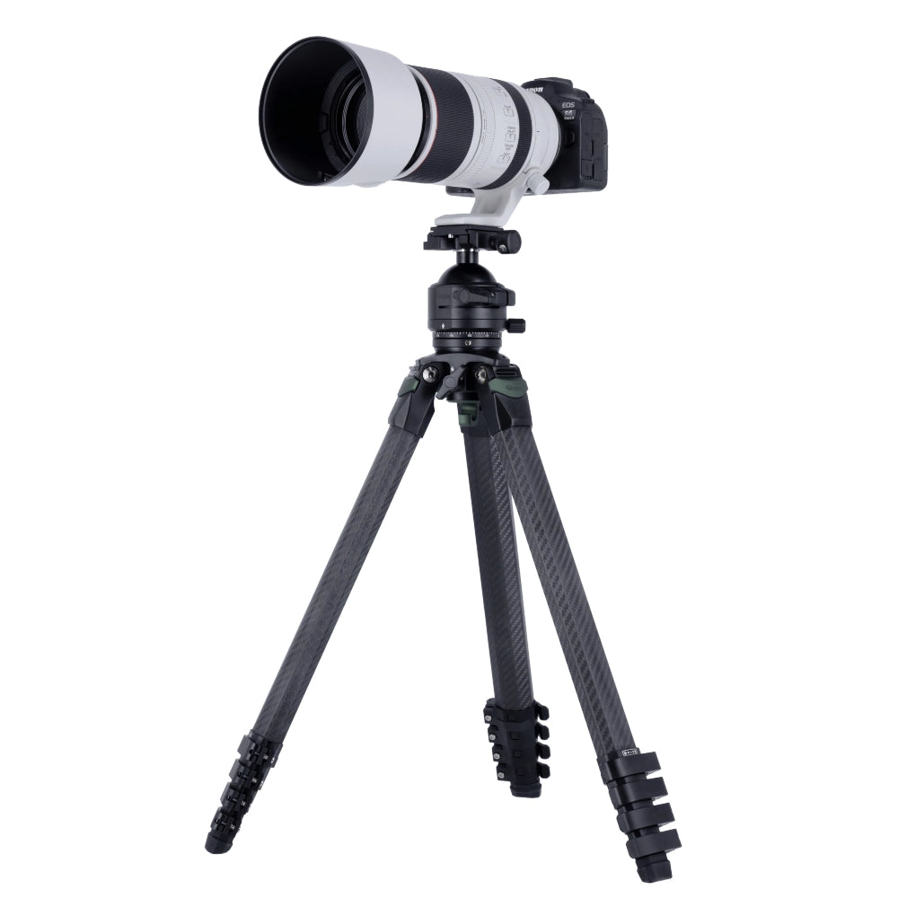 Rollei Lion Rock Pro Instinct Treppiede