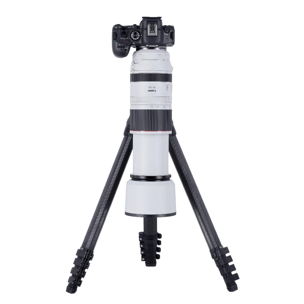 Rollei Lion Rock Pro Instinct Treppiede
