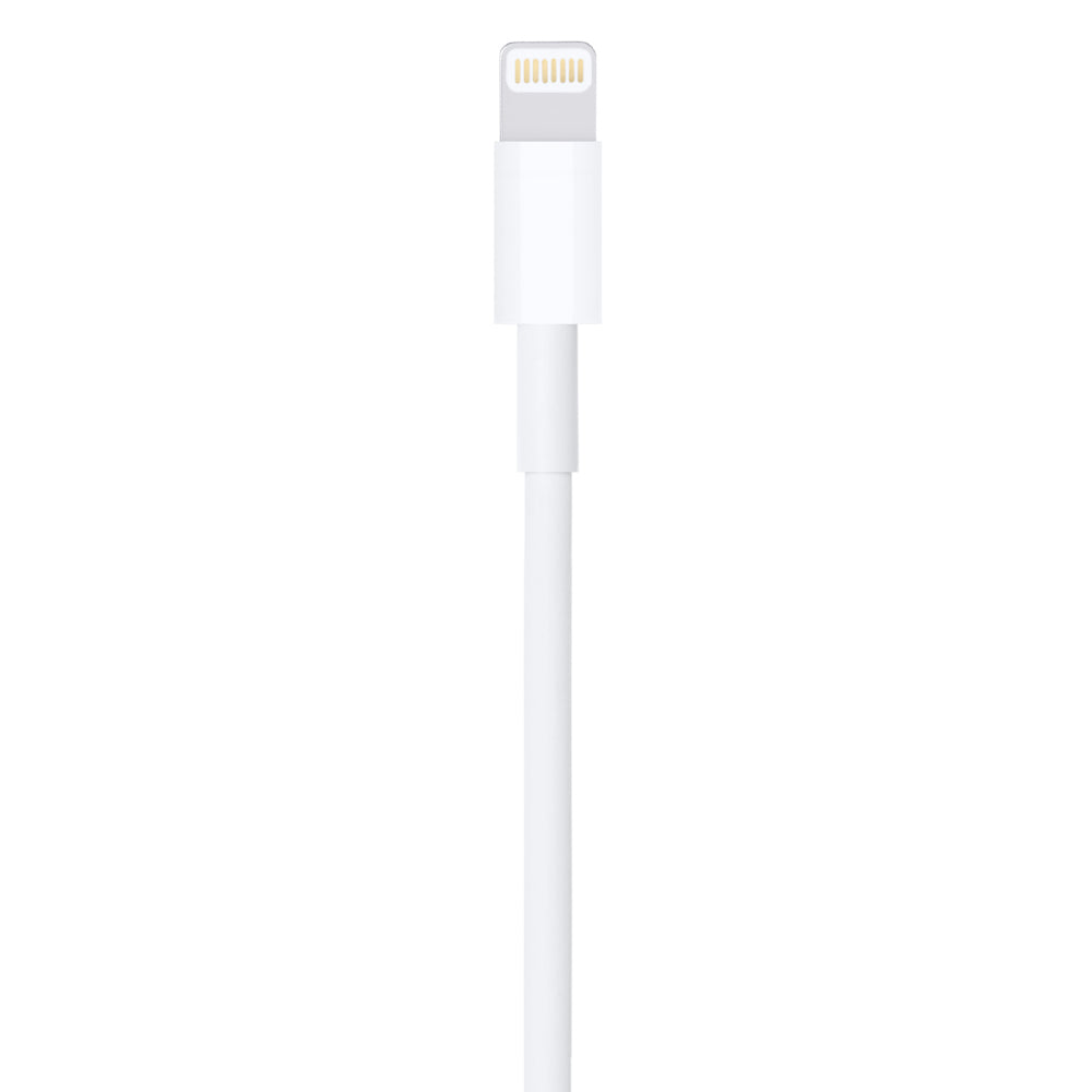 Apple Cable Lightning a USB 1 m