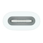 Apple USB-C auf Apple Pencil Adapter