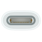 Apple USB-C auf Apple Pencil Adapter