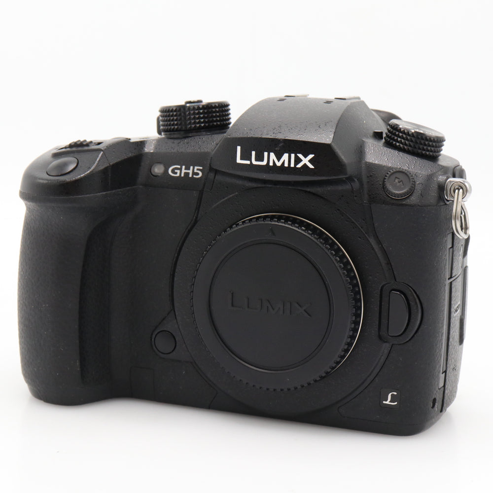 Panasonic Lumix DMC-GH5 boîtier occasion