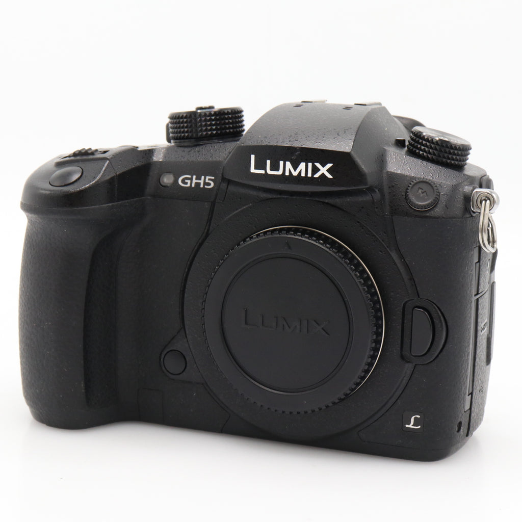 Panasonic Lumix DMC-GH5 boîtier occasion