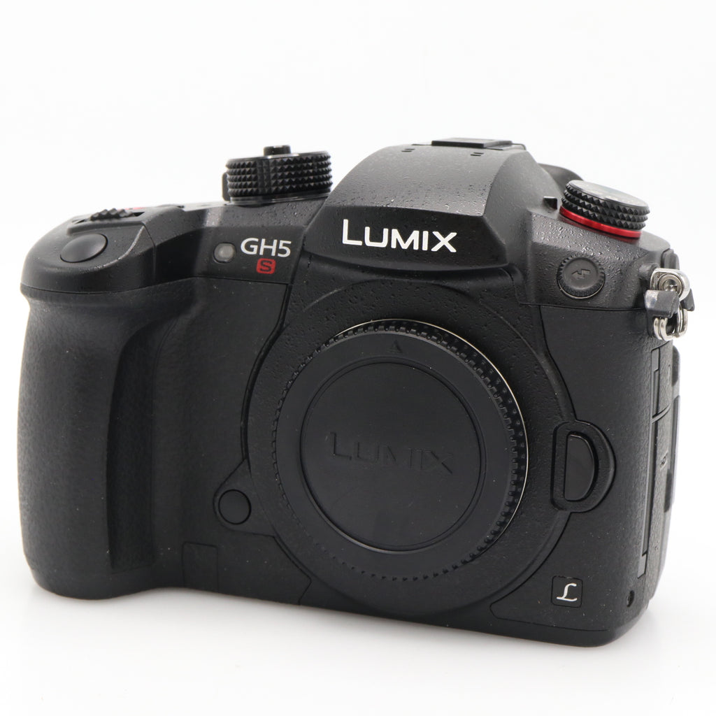 Panasonic Lumix DC-GH5S boîtier occasion