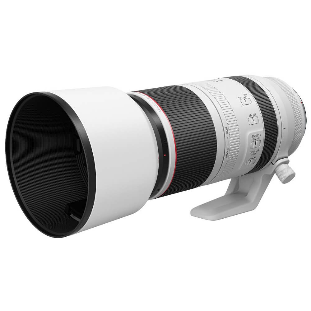 Canon RF 100-500mm f/4.5-7.1L IS USM + Easycover Lens Oak True Timber