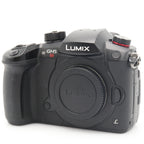 Panasonic Lumix DC-GH5S body tweedehands