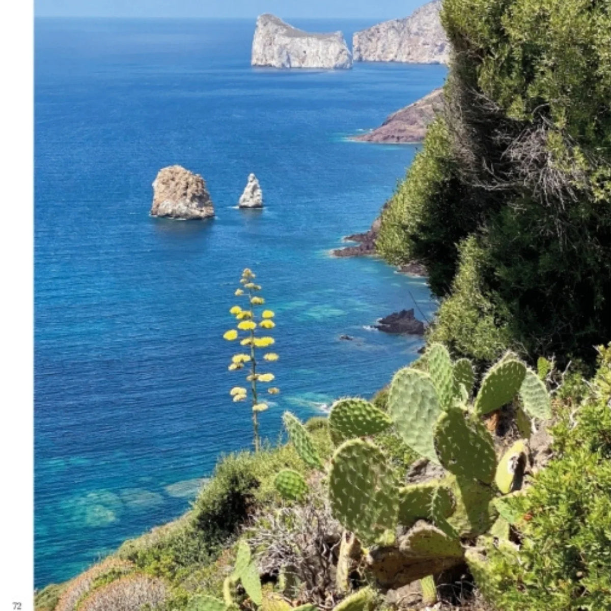 Manuale di fotografia con smartphone - Andrea Gulickx
