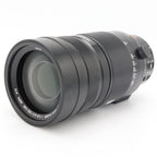 Panasonic Leica DG Vario-Elmar 100-400mm f/4-6.3 ASPH. Power OIS used