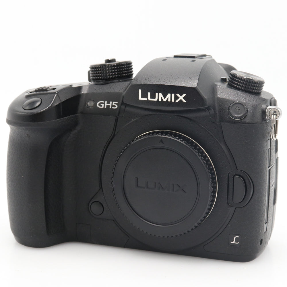 Panasonic Lumix DMC-GH5 body tweedehands