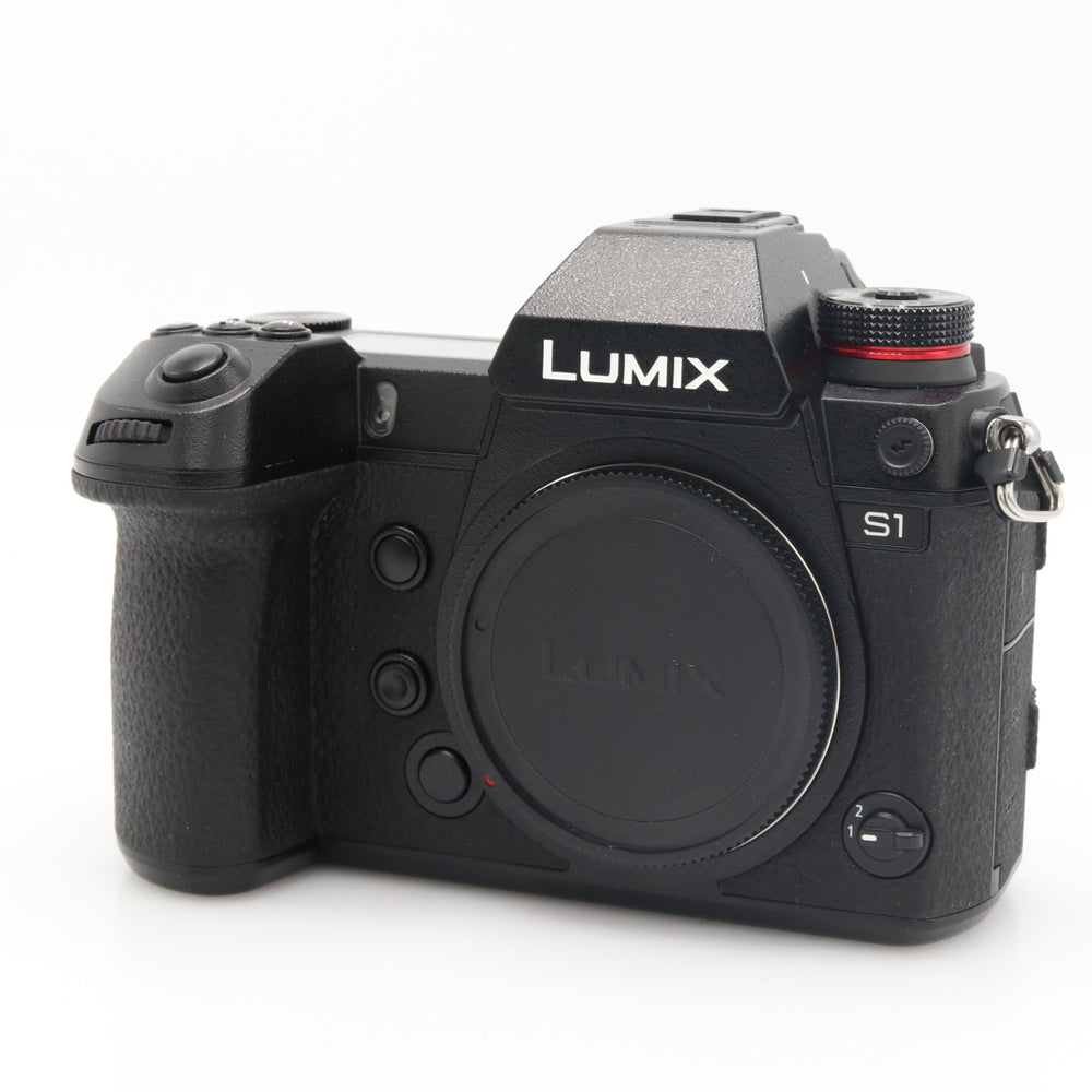 Panasonic Lumix DC-S1 Gehäuse gebraucht