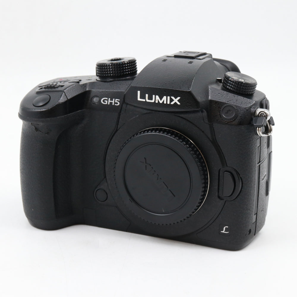 Panasonic Lumix DC-GH5S Gehäuse gebraucht