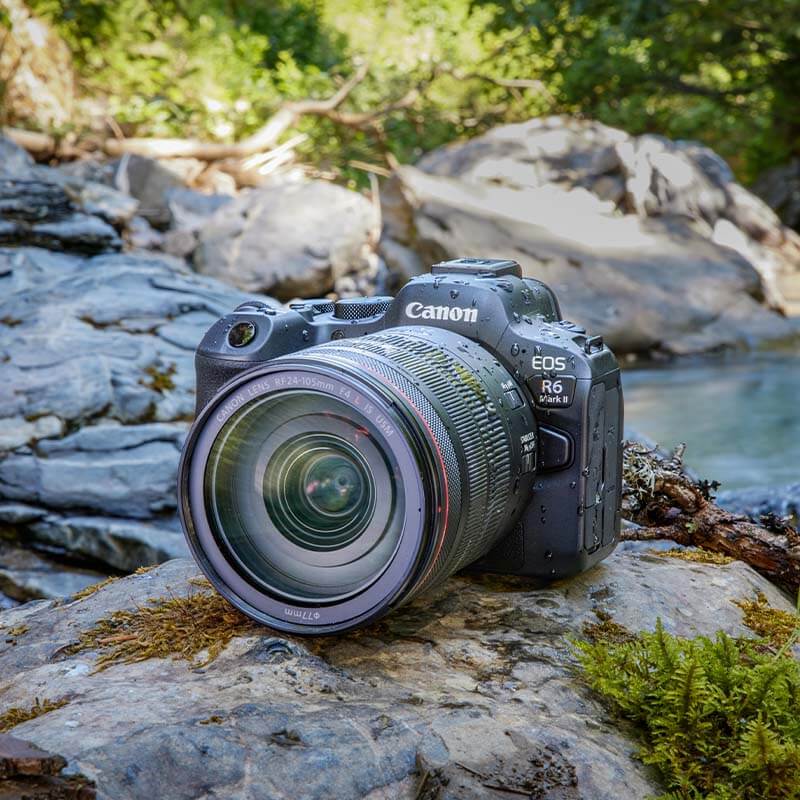 Canon EOS R6 II + RF 45mm f/1.2 STM
