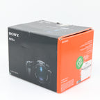 Sony Cybershot DSC-RX10 IV tweedehands