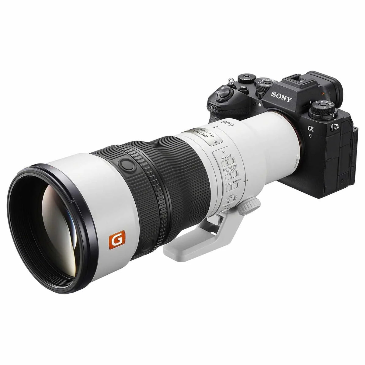 Sony FE 600mm f/6.3 GM OSS