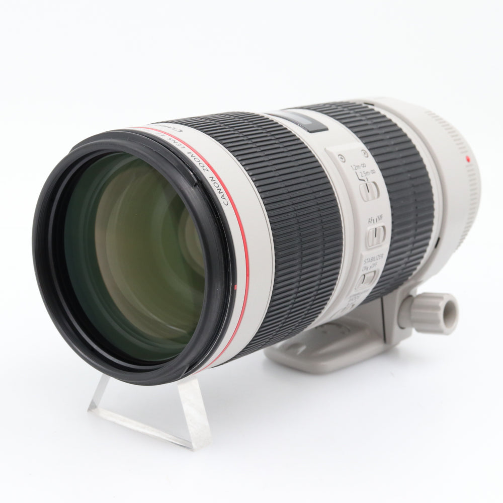Canon EF 70-200mm f/2.8 L IS III USM tweedehands