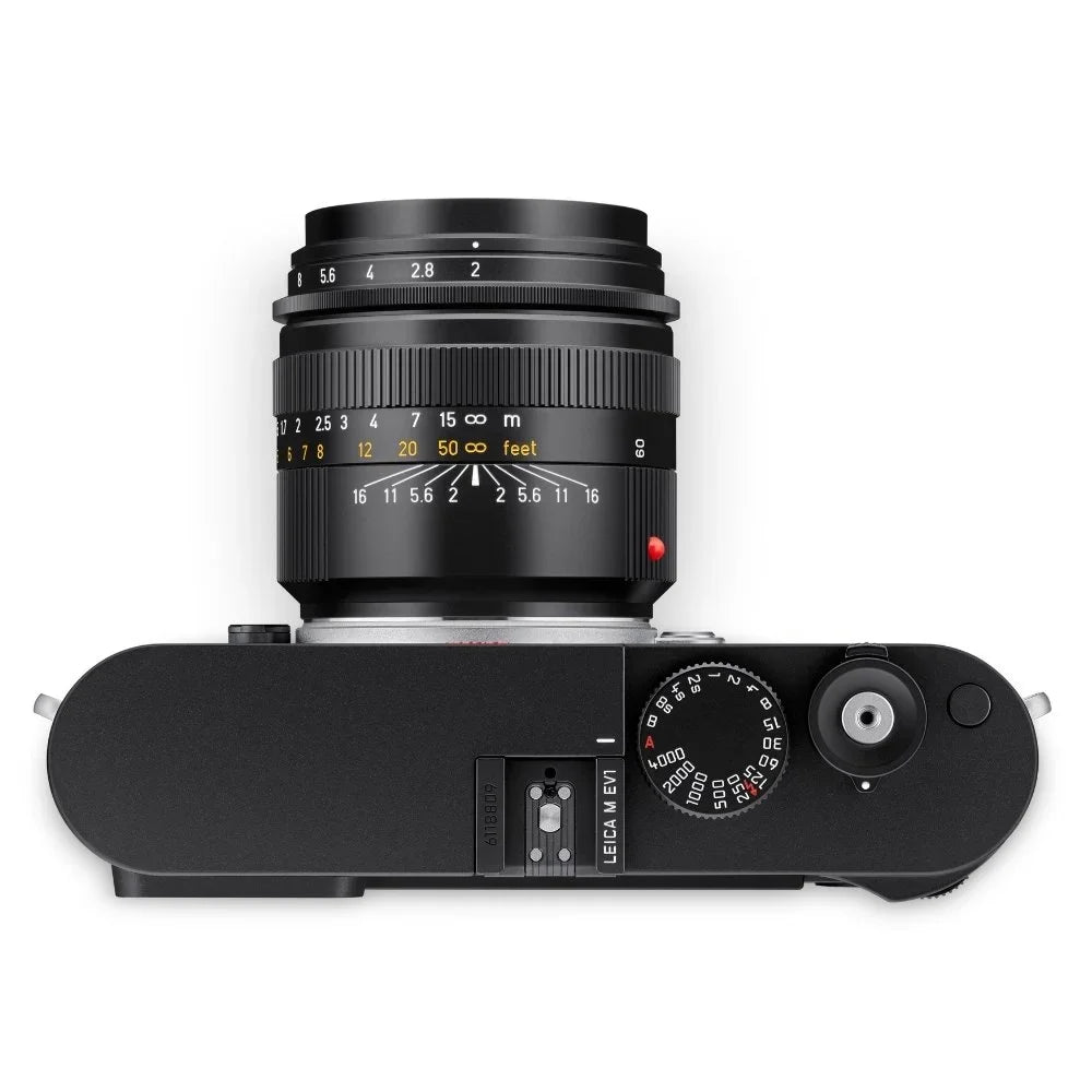 Leica Summicron-M 66mm f/2.0