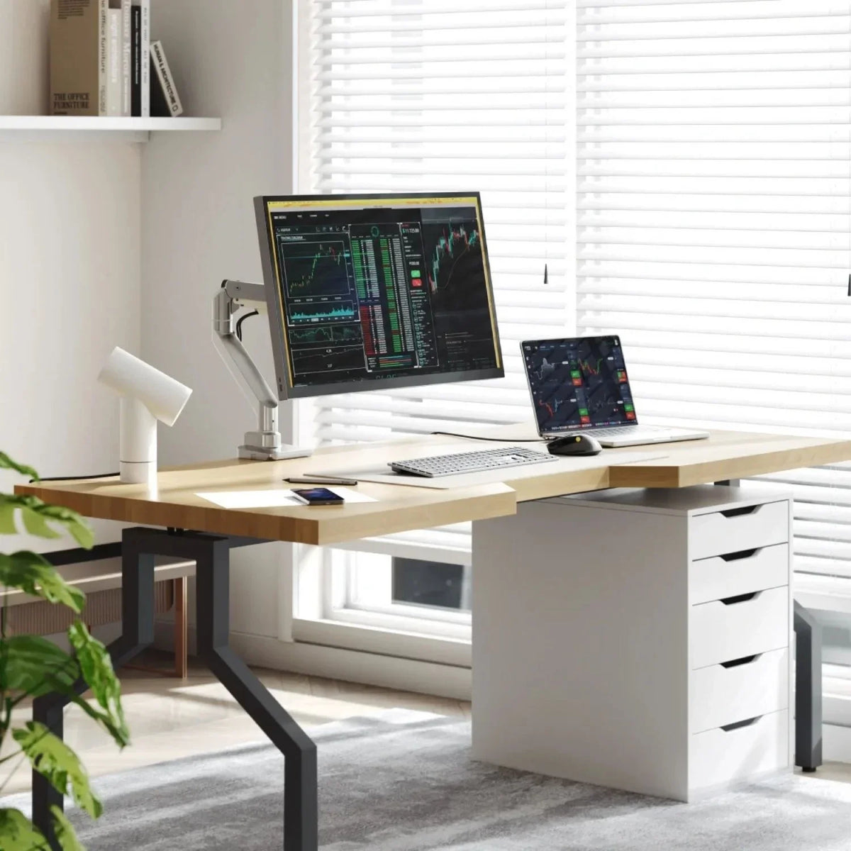 Alogic Flux Flexible Single Monitor Arm