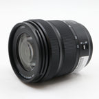 Panasonic Lumix S 20-60mm f/3.5-5.6 L-mount occasion