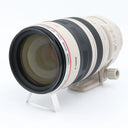 Canon EF 100-400mm f/4.5-5.6 L IS USM (schuifzoom) segunda mano