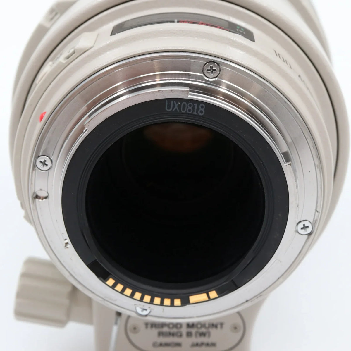 Canon EF 100-400mm f/4.5-5.6 L IS USM (schuifzoom) segunda mano