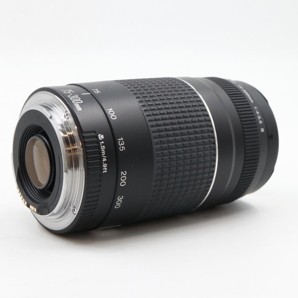 Canon EF 75-300mm f/4-5.6 III occasion