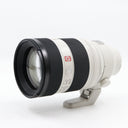 Sony FE 50-150mm F/2 GM occasion