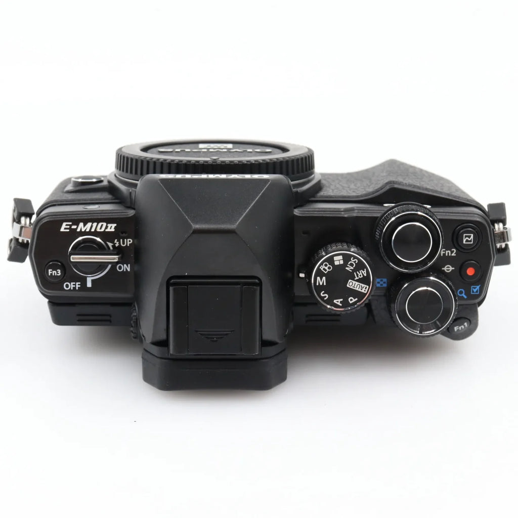 Olympus OM-D E-M10 mark II body used