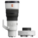 Sony FE 600mm f/6.3 GM OSS + 1.4 Teleconverter