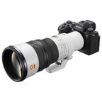Sony FE 600mm f/6.3 GM OSS + 1.4 Teleconverter