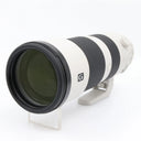 Sony FE 200-600mm F/5.6-6.3 G OSS used