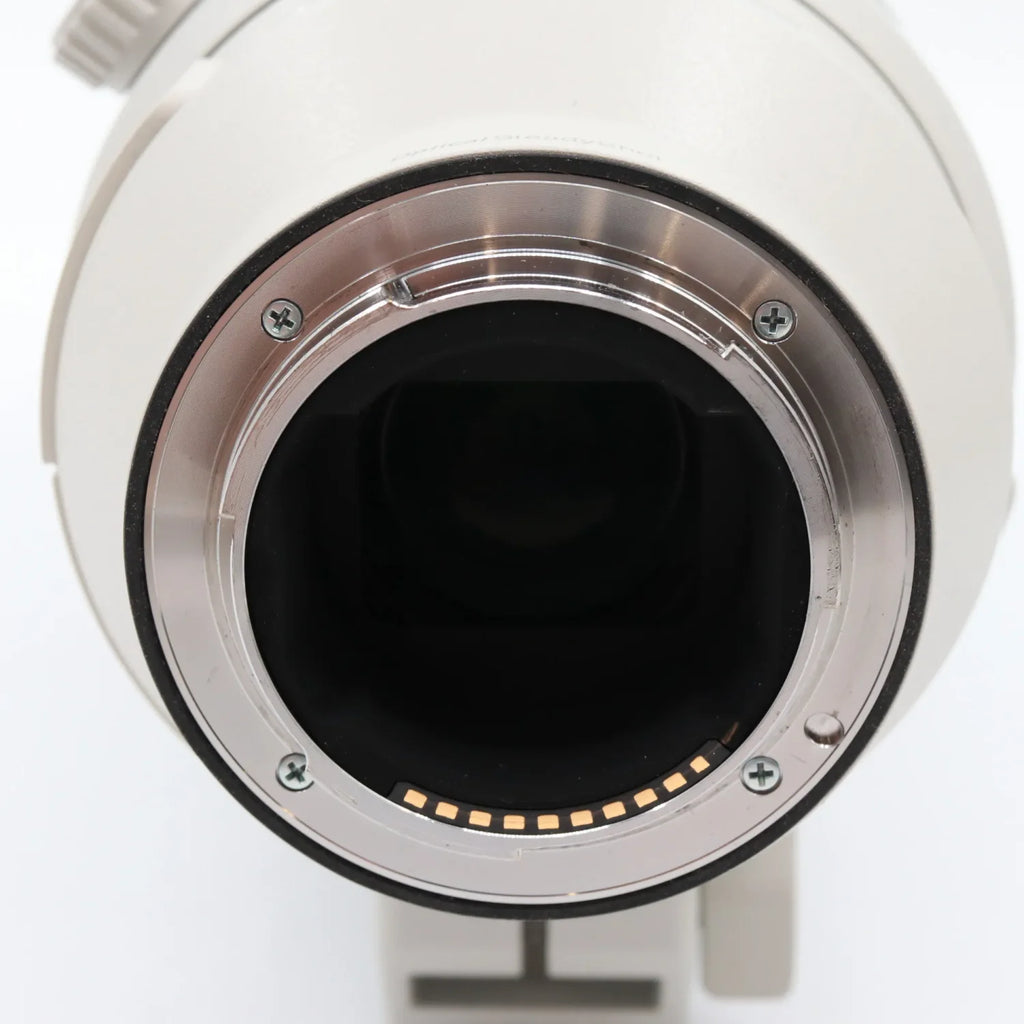 Sony FE 200-600mm F/5.6-6.3 G OSS used