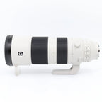 Sony FE 200-600mm F/5.6-6.3 G OSS used