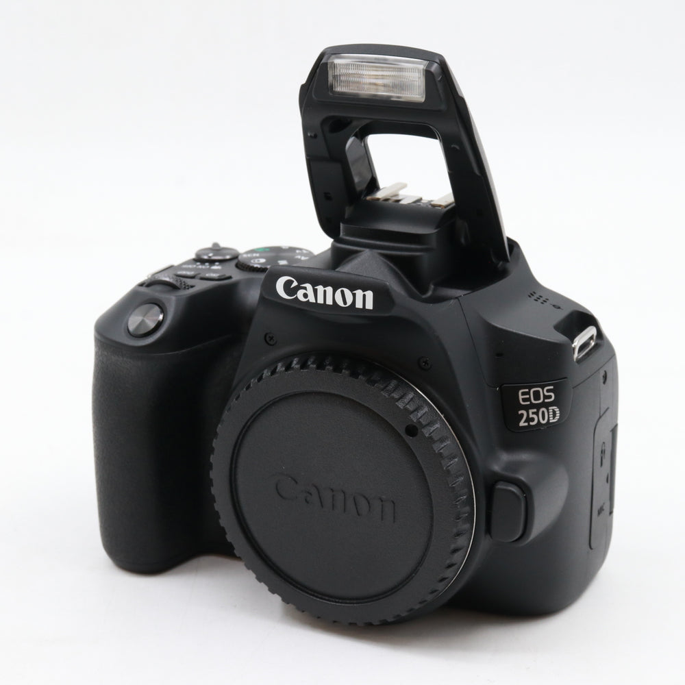 Canon EOS 250D Gehäuse gebraucht