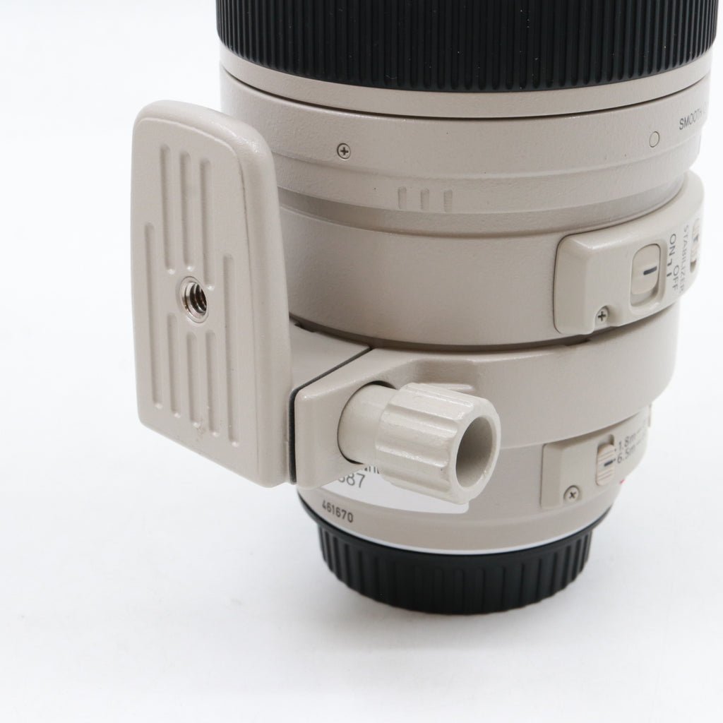 Canon EF 100-400mm f/4.5-5.6 L IS USM used